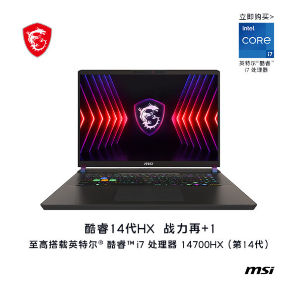 微星（MSI）Vector 17 HX A14VFG-267CN（32G+2TB）